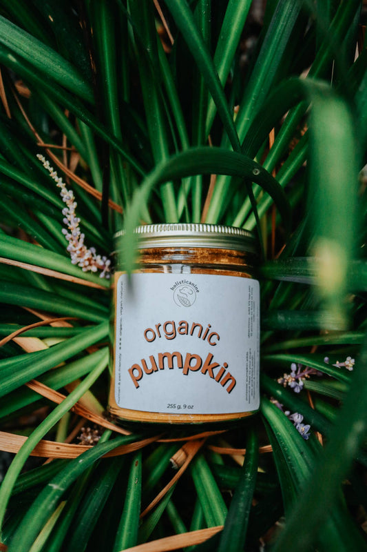 Organic Pumpkin Supplement
