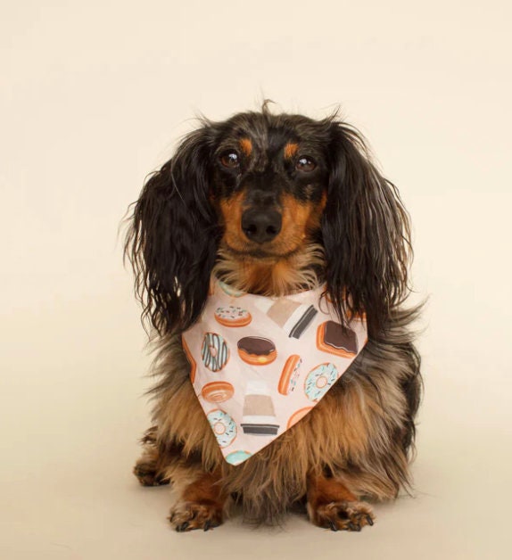 Coffee & Donuts Bandana