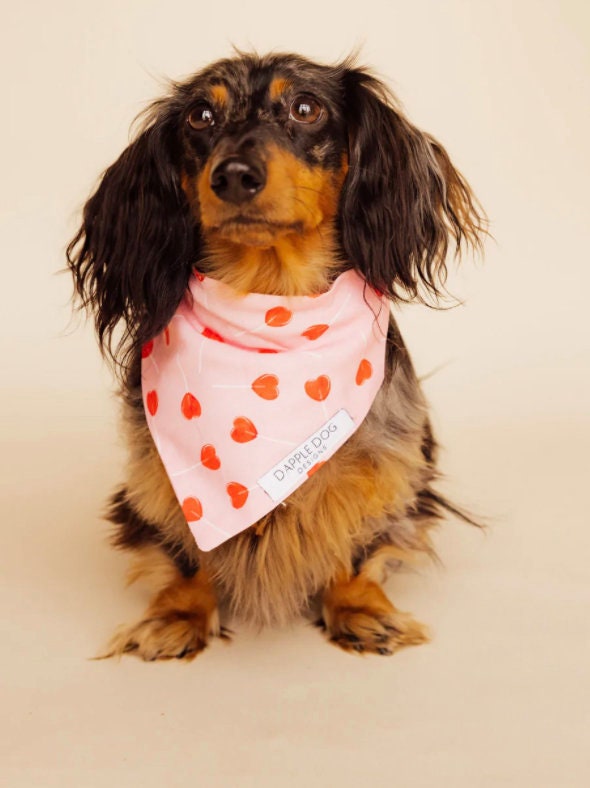 Heart Lollipop Bandana