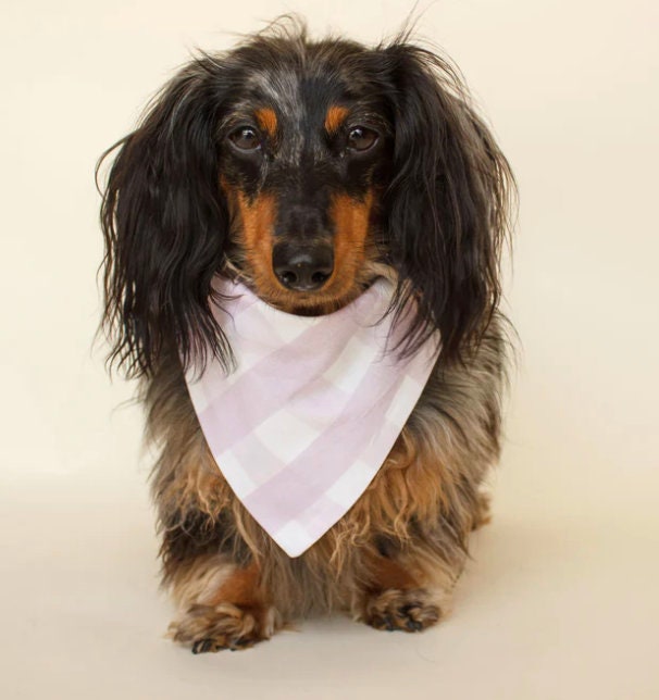 Lilac Plaid Bandana